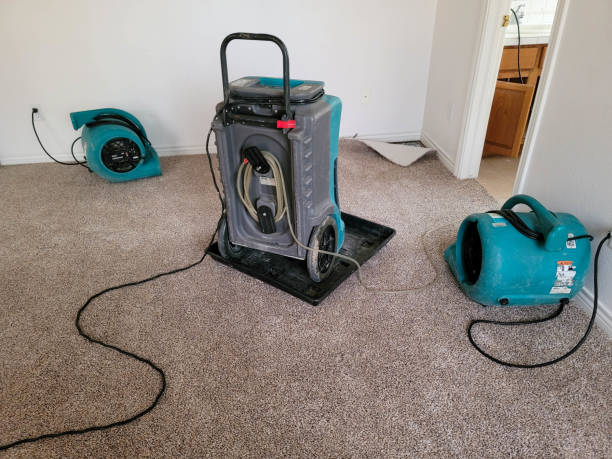 Best Water damage restoration near me  in Woodinville, WA