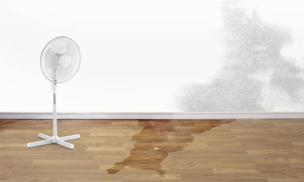 Best Water damage restoration near me  in Woodinville, WA