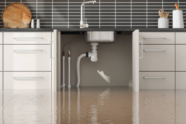 Best Local water damage restoration  in Woodinville, WA
