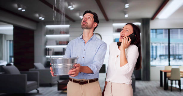 Best 24-hour water damage restoration  in Woodinville, WA