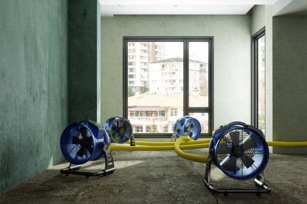 Best Emergency water damage restoration  in Woodinville, WA